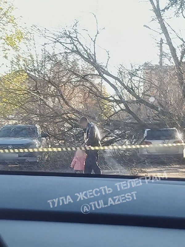 Фото поста канала Тула Жесть