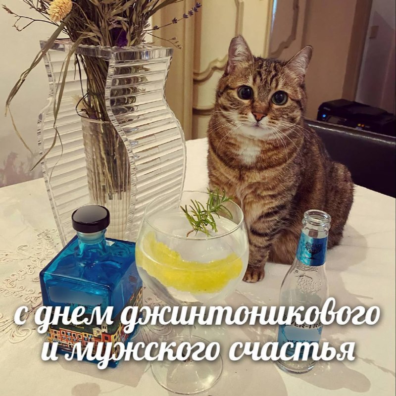 Фото поста канала  Липецкач • Новости Липецка