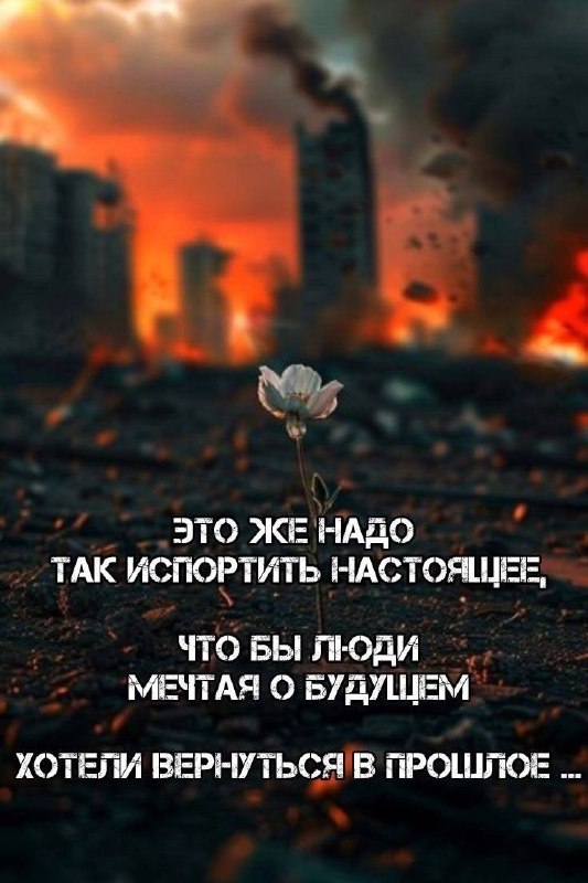 Фото поста канала  Дар