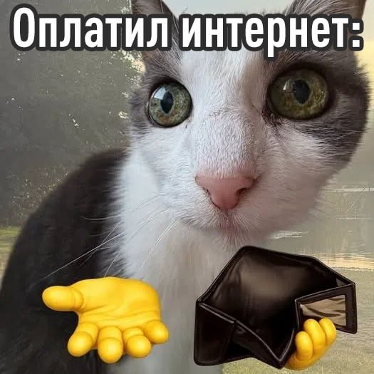 Фото поста канала Эксплойт