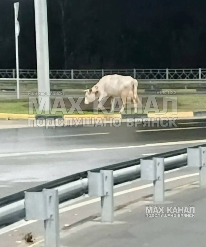 Фото поста канала  ПОДСЛУШАНО БРЯНСК