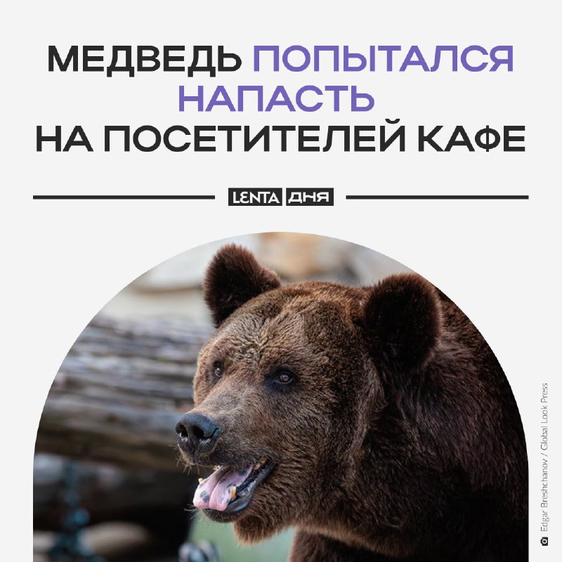 Фото поста канала Лента дня
