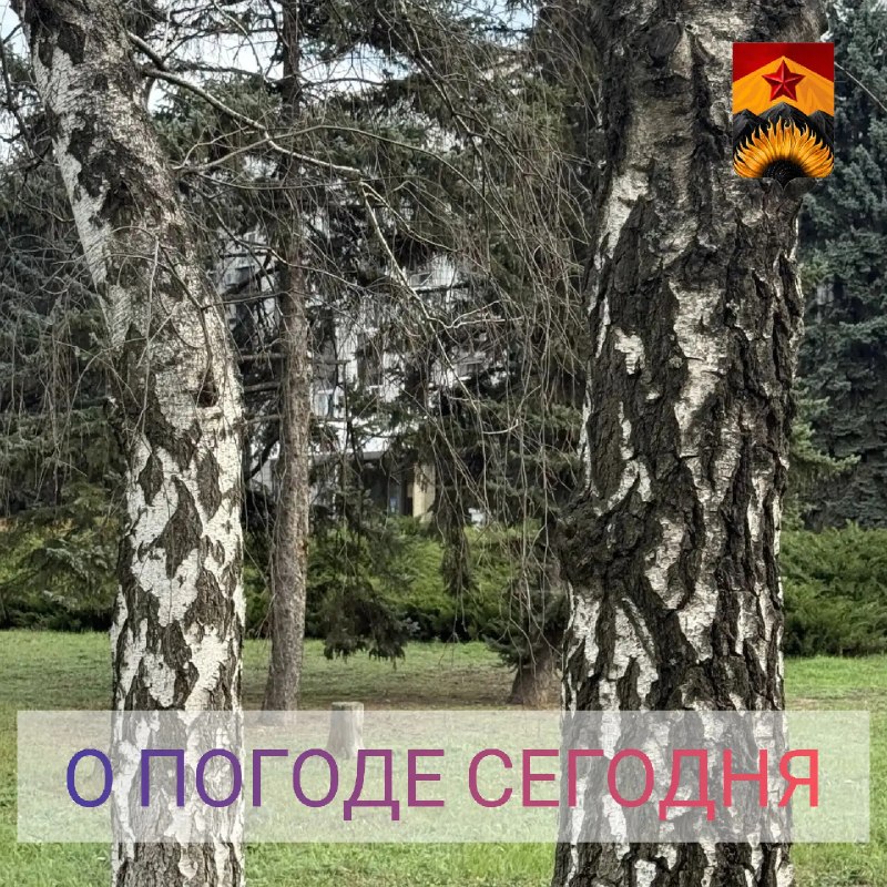Фото поста канала Лента новостей ДНР | Z ТГ_ТЕСТ