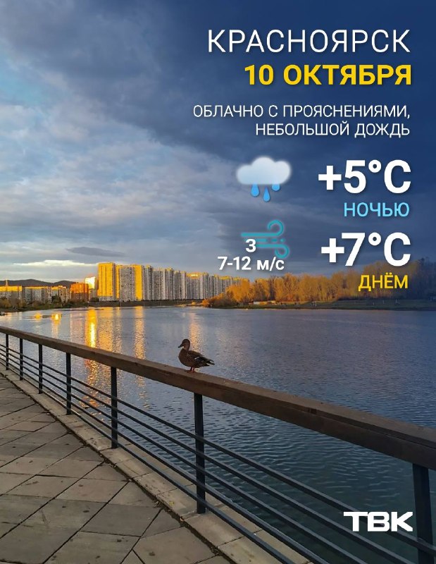 Фото поста канала  ТВК