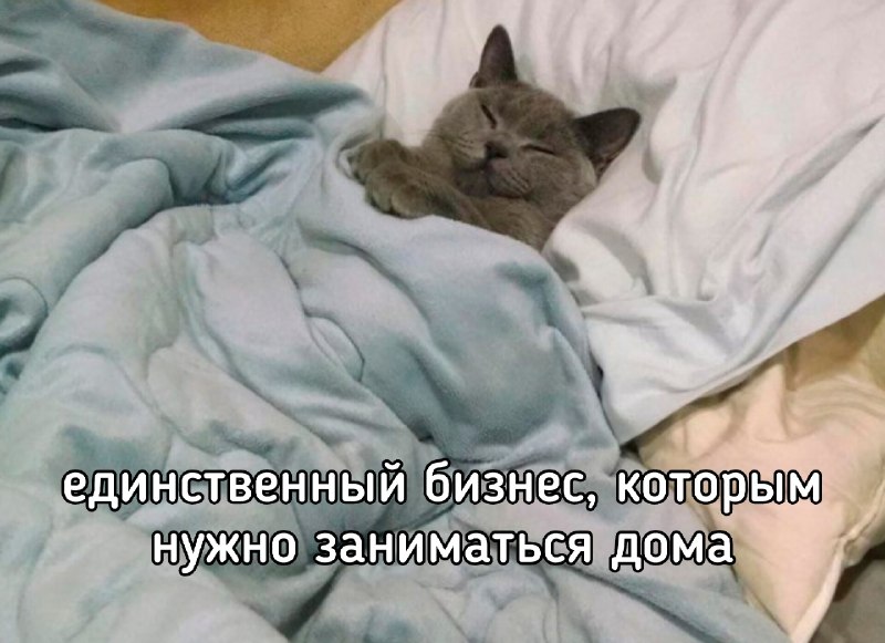 Фото поста канала  Еду в Татарстан