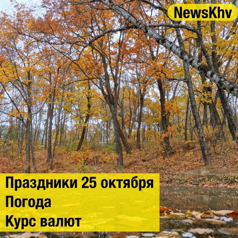 Фото поста канала  NewsKhv
