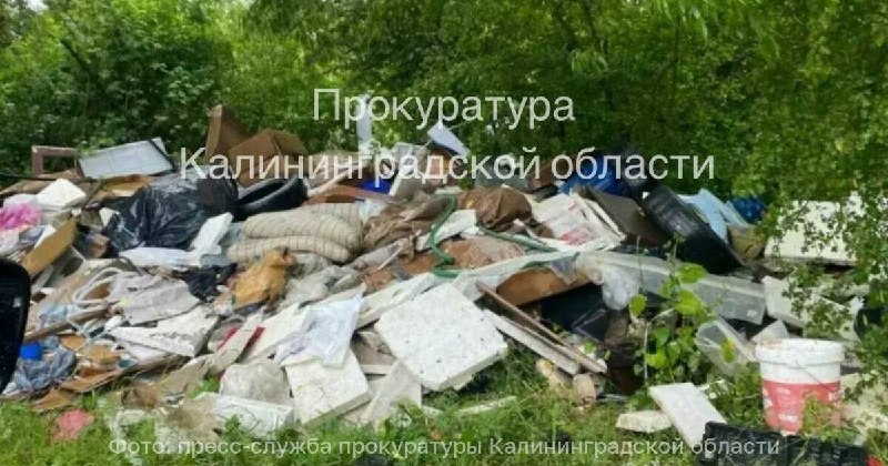 Фото поста канала  Клопс