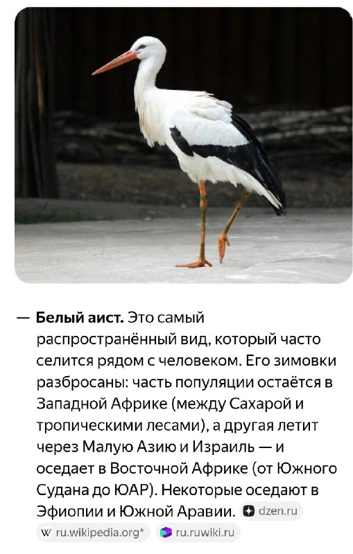 Фото поста канала  Империя очень зла