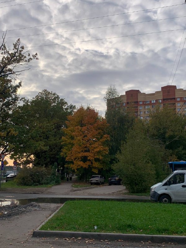 Фото поста канала  НОВОЕ ПАВЛИНО