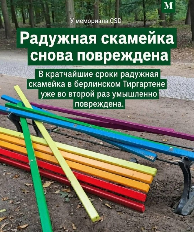 Фото поста канала  Кот канал-Z 🧌