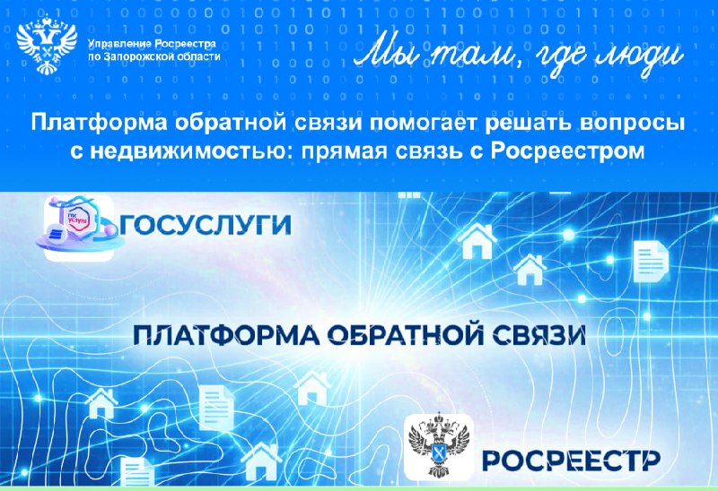 Фото поста канала  Администрация Васильевского муниципального округа