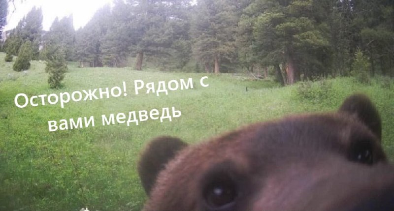 Фото поста канала  Мониторинг 76 Ярославская область
