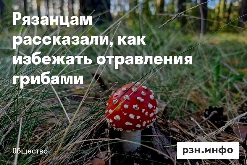 Фото поста канала  Новости Рязани • РЗН.инфо