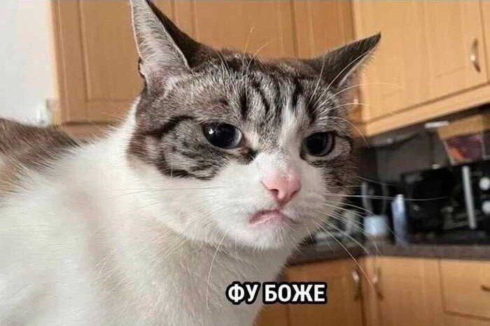 Фото поста канала  Короче, Тагил