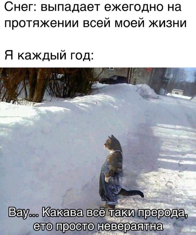 Фото поста канала Ариг Ус | Бурятия | Улан-Удэ