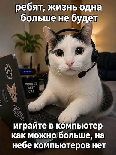 Фото поста канала  Лепра