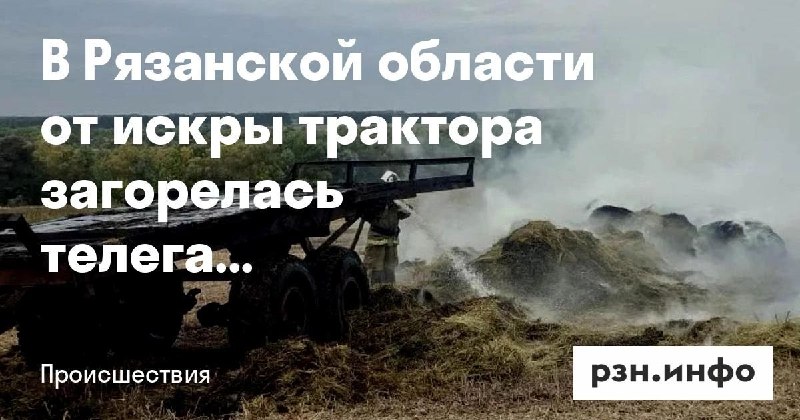 Фото поста канала  Новости Рязани • РЗН.инфо