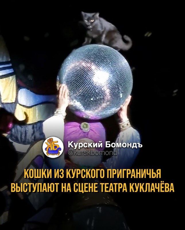 Фото поста канала  КУРСКИЙ БОМОНДЪ