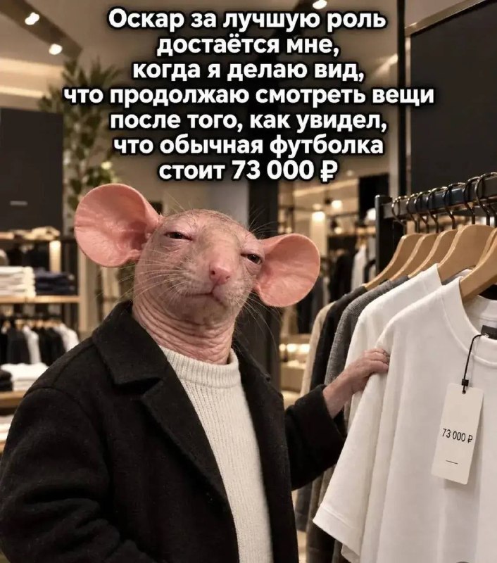 Фото поста канала  Король Артур