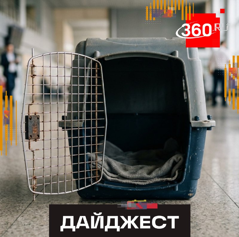 Фото поста канала  360.ru