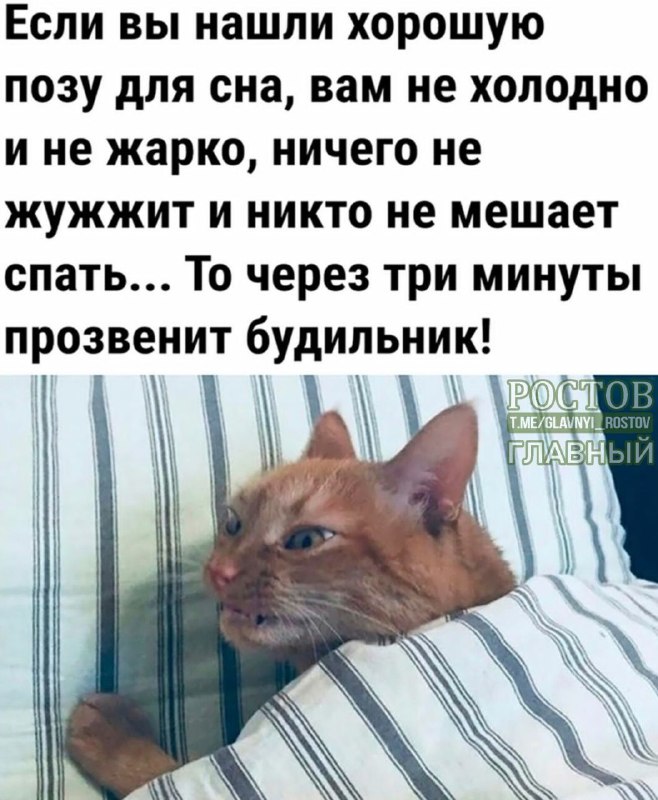 Фото поста канала  Ростов Главный новости