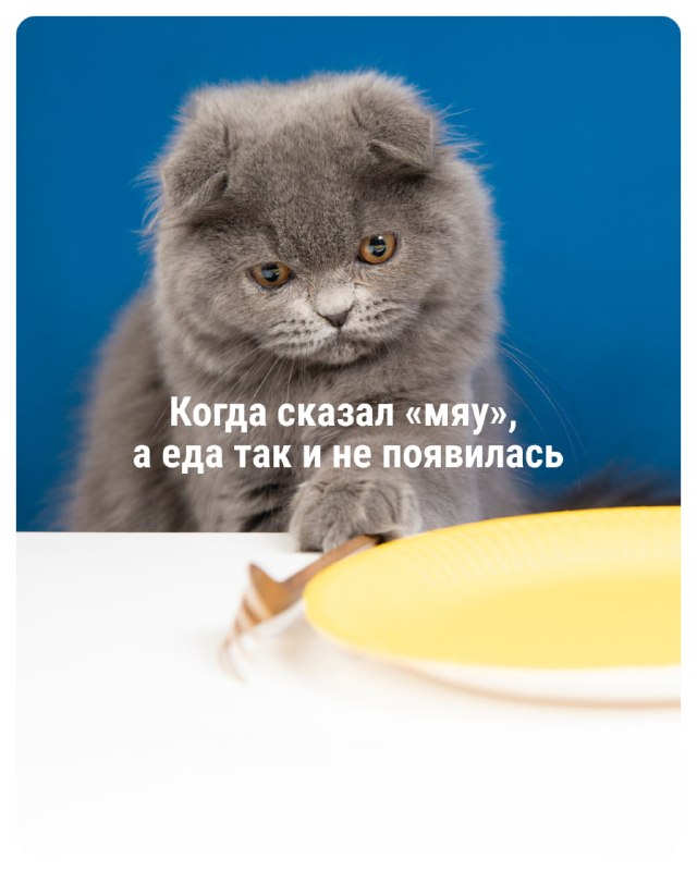 Фото поста канала НГС — новости Новосибирска