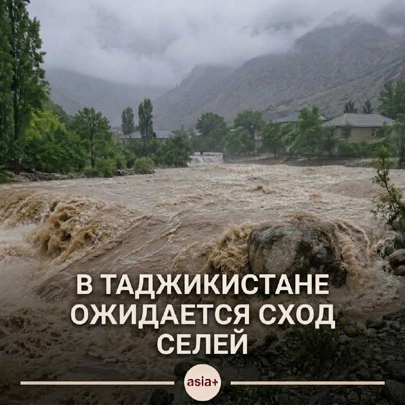 Фото поста канала  Азия-Плюс | Все новости Таджикистана и мира