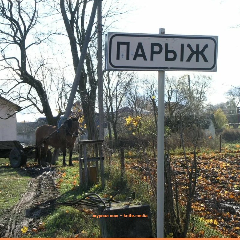 Фото поста канала Журнал НОЖ