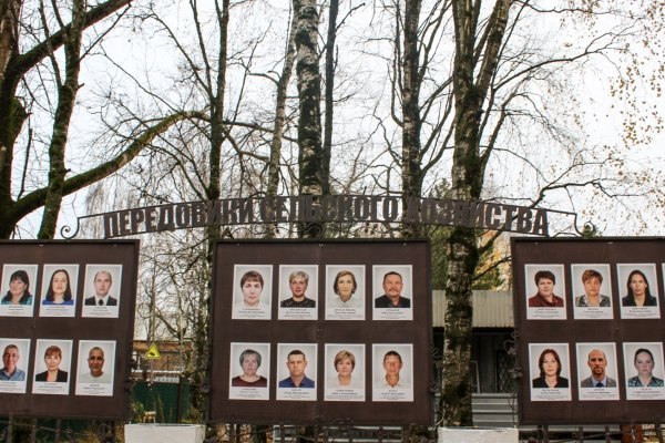 Фото поста канала  Мониторинг 11 Республика Коми