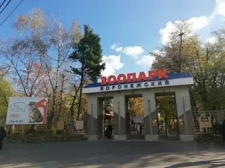 Фото поста канала  Жители Воронежа | РАДАР