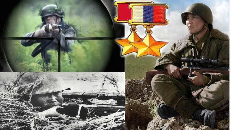 Фото поста канала  Злой журналист