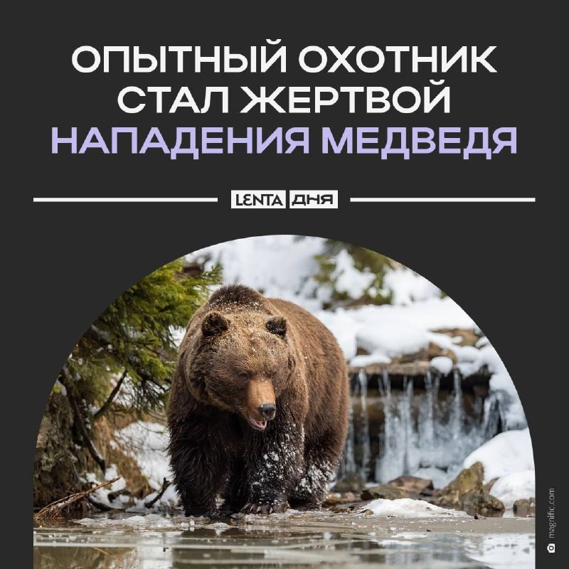 Фото поста канала  svodka38