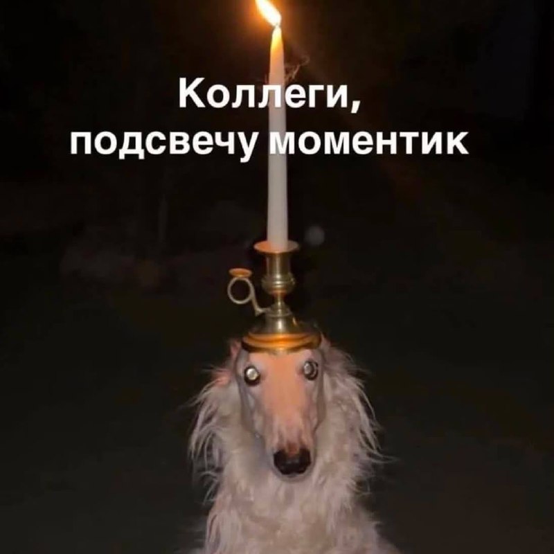 Фото поста канала НеМалахов