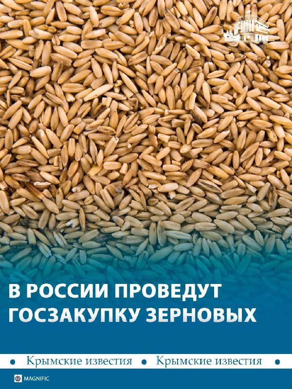 Фото поста канала  Лента новостей Крыма Z Новости Крыма