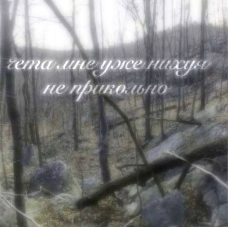 Фото поста канала  Чешир таежный и дело о мемах в заложниках