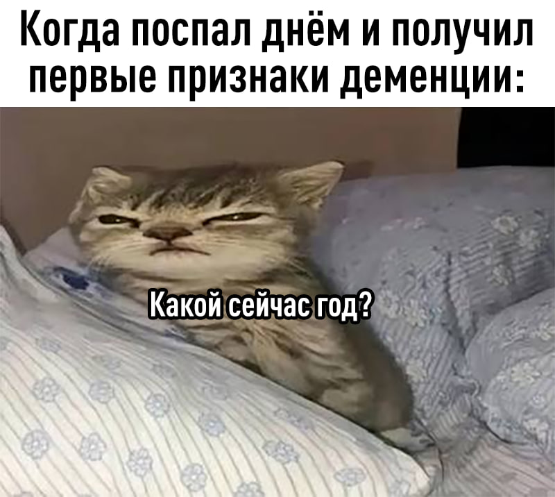 Фото поста канала Картотека
