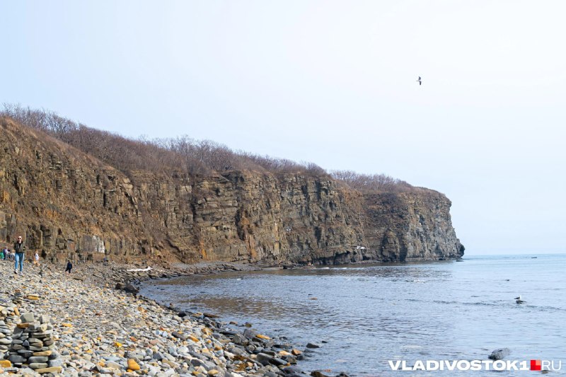 Фото поста канала  VLADIVOSTOK1.RU | Новости Приморья