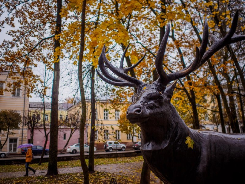 Фото поста канала  Важное в Смоленске