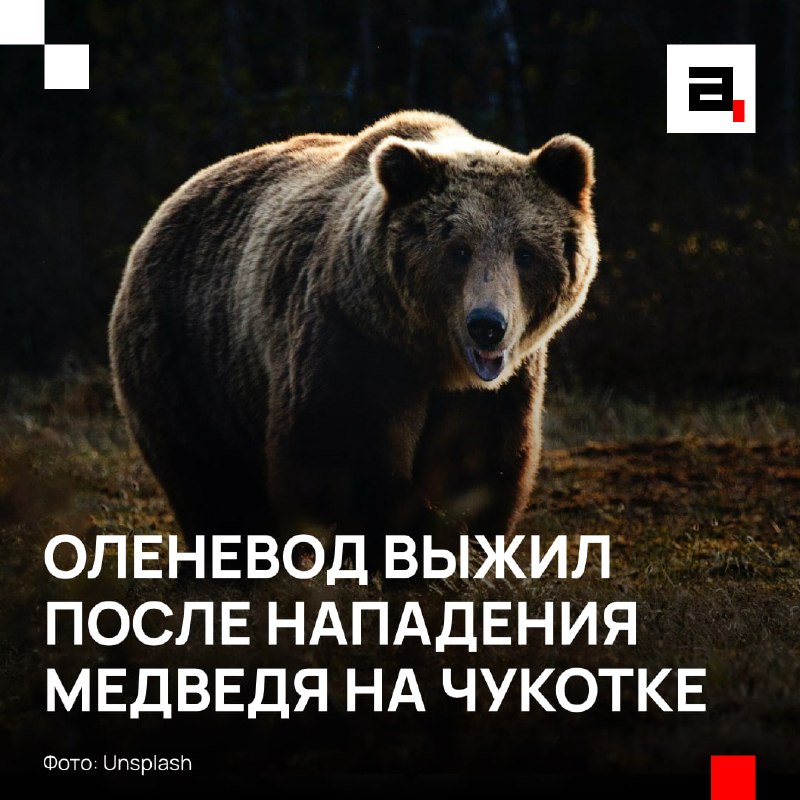 Фото поста канала  Абзац