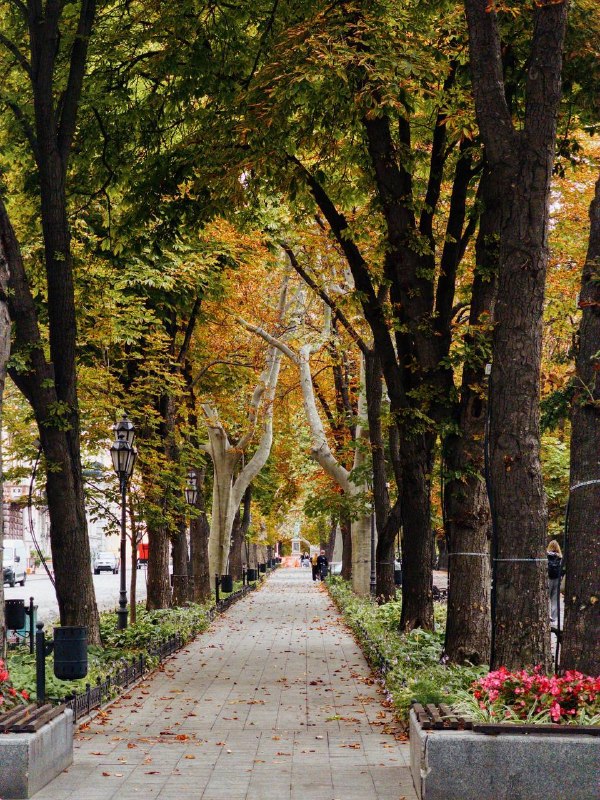 Фото поста канала  Odessa CityNews