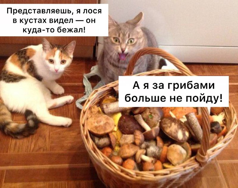 Фото поста канала Москва с огоньком