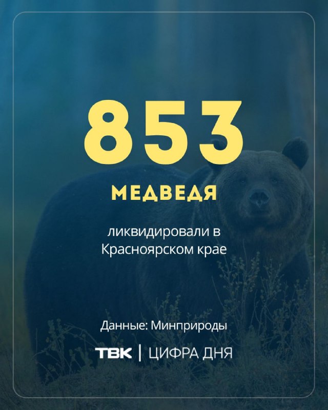 Фото поста канала  ТВК