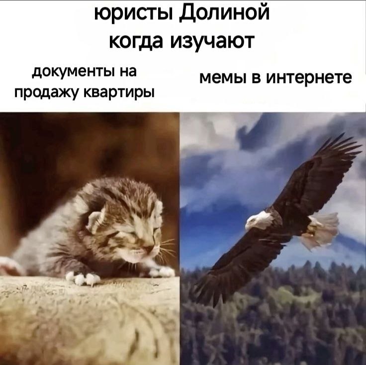 Фото поста канала  Gulag