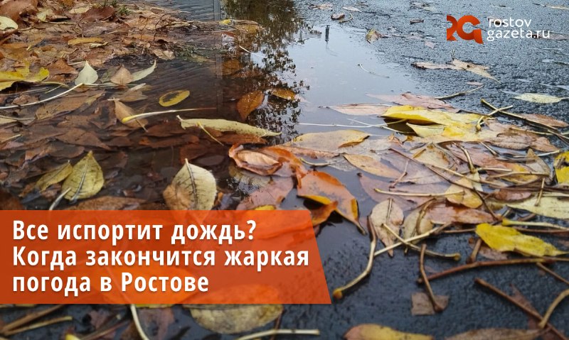 Фото поста канала  RostovGazeta.ru | Ростовская область