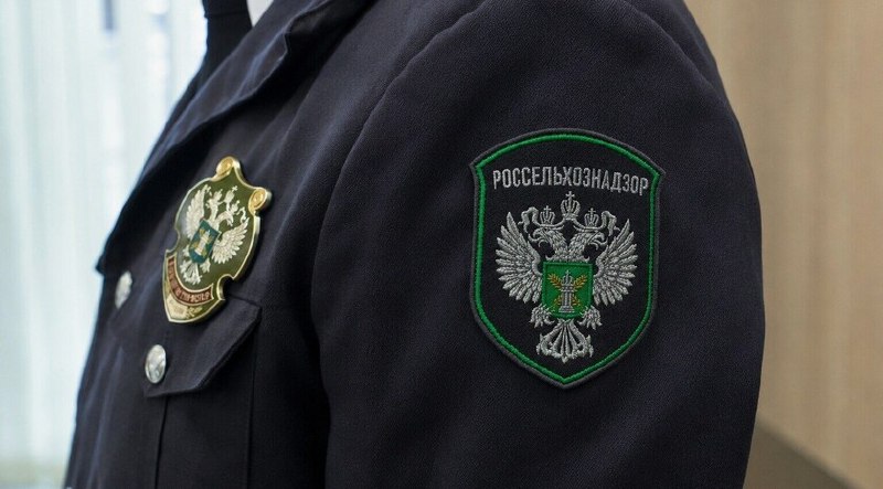 Фото поста канала  Новый Мелитополь