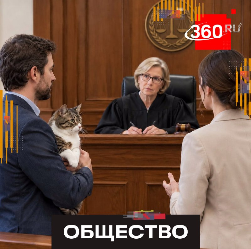 Фото поста канала  360.ru