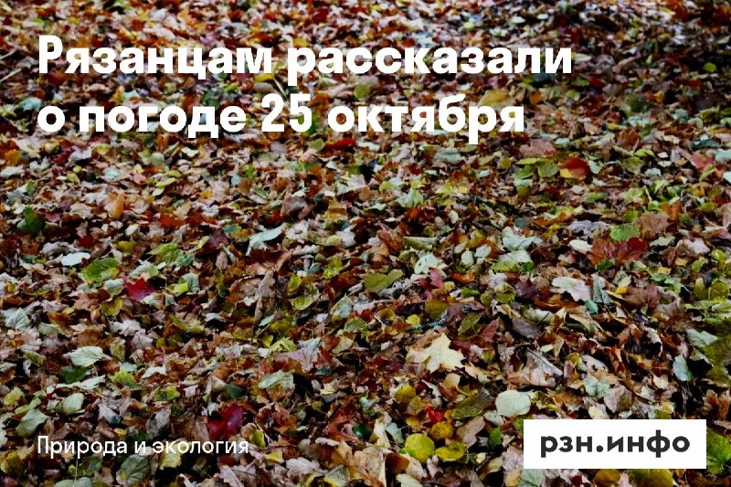 Фото поста канала  Новости Рязани • РЗН.инфо