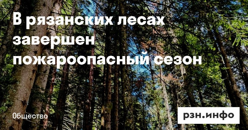 Фото поста канала  Новости Рязани • РЗН.инфо