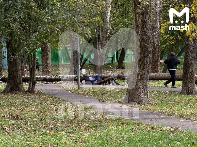 Фото поста канала  Mash