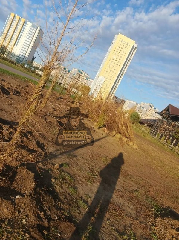 Фото поста канала  Инцидент Барнаул